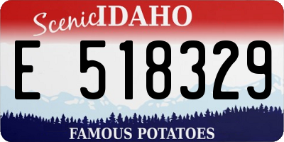 ID license plate E518329