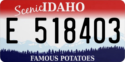 ID license plate E518403