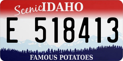 ID license plate E518413