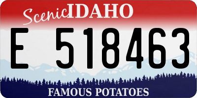 ID license plate E518463