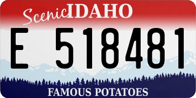 ID license plate E518481