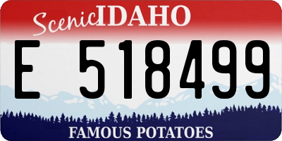 ID license plate E518499