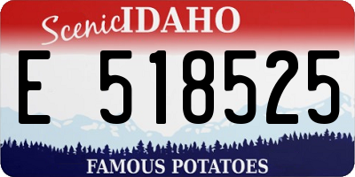 ID license plate E518525