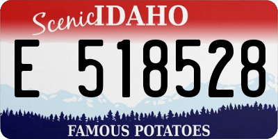 ID license plate E518528