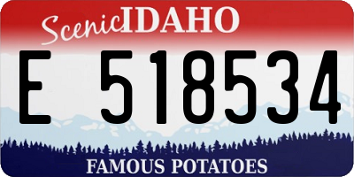 ID license plate E518534