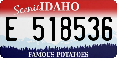 ID license plate E518536