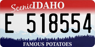 ID license plate E518554