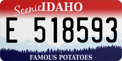 ID license plate E518593