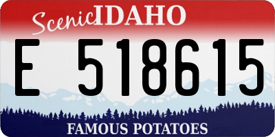 ID license plate E518615