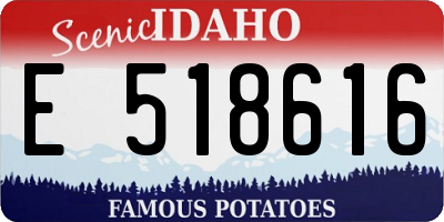 ID license plate E518616