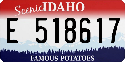 ID license plate E518617