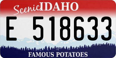 ID license plate E518633