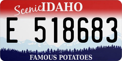 ID license plate E518683