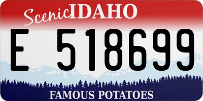 ID license plate E518699