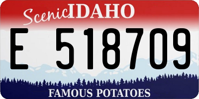 ID license plate E518709