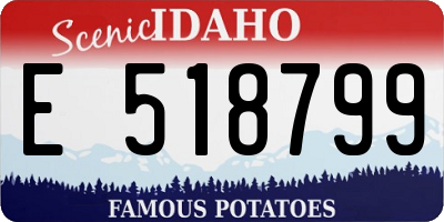 ID license plate E518799