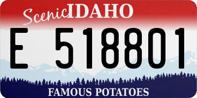 ID license plate E518801