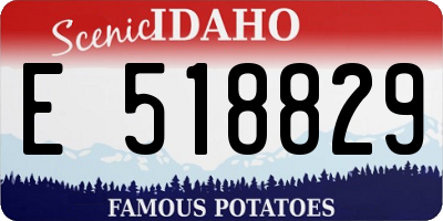 ID license plate E518829
