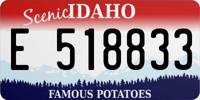 ID license plate E518833