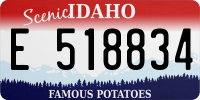 ID license plate E518834