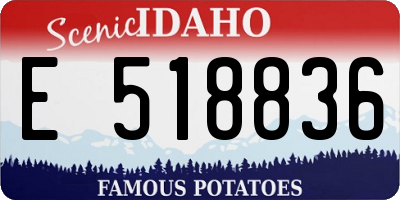 ID license plate E518836