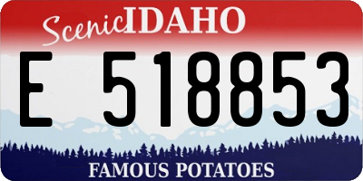 ID license plate E518853