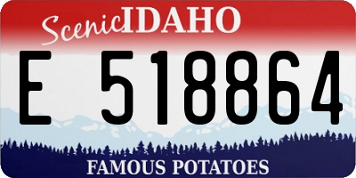 ID license plate E518864