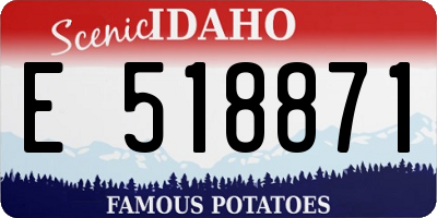 ID license plate E518871