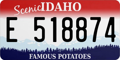 ID license plate E518874