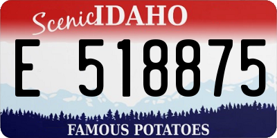 ID license plate E518875