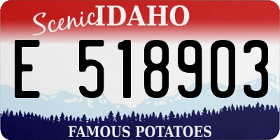 ID license plate E518903