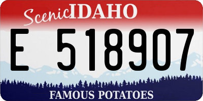 ID license plate E518907