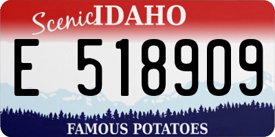 ID license plate E518909
