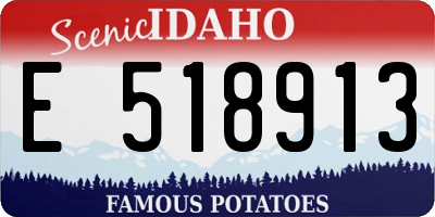 ID license plate E518913