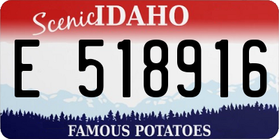 ID license plate E518916