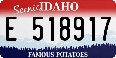 ID license plate E518917