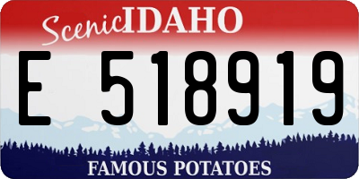 ID license plate E518919