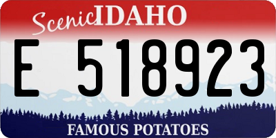 ID license plate E518923