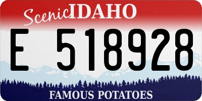 ID license plate E518928