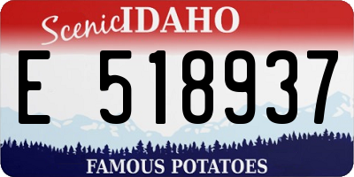 ID license plate E518937