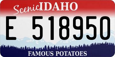 ID license plate E518950