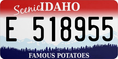 ID license plate E518955