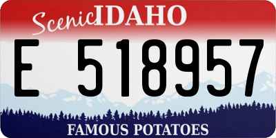 ID license plate E518957