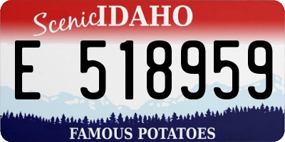 ID license plate E518959