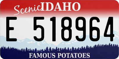 ID license plate E518964
