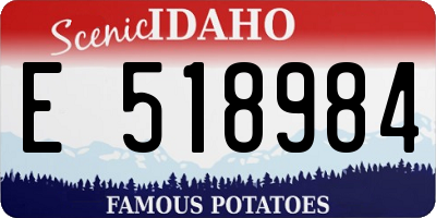 ID license plate E518984