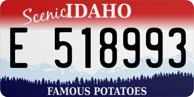 ID license plate E518993