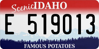 ID license plate E519013
