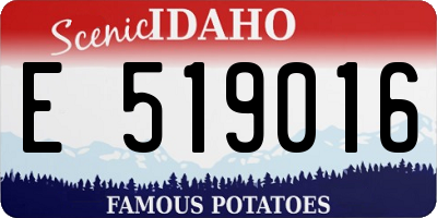 ID license plate E519016