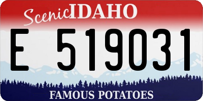 ID license plate E519031